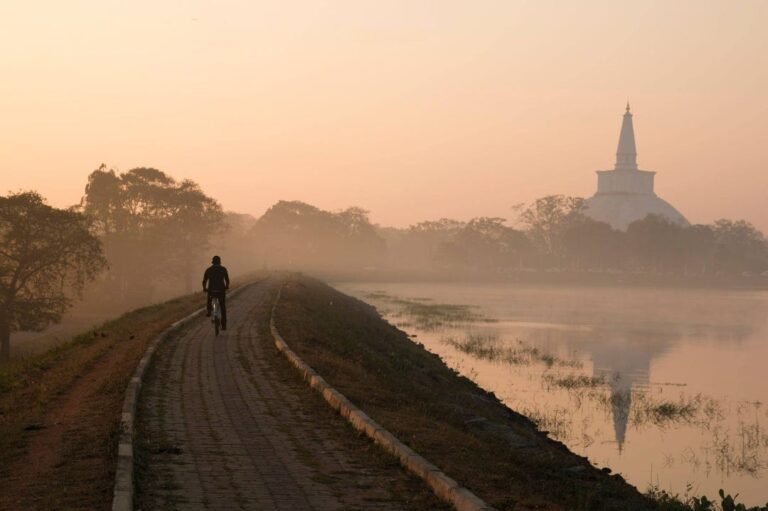 පෞරාණිකත්වය විනාශ කරමින් බසවක්කුලම වැව් බැම්ම කාපට් කරයි