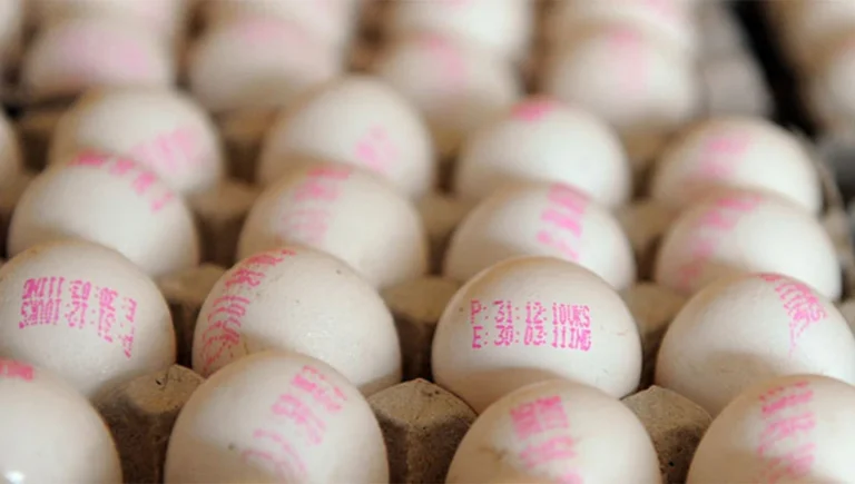 යලිත් ඉන්දීය බිත්තර අඩු මිලට වෙලදපලට..